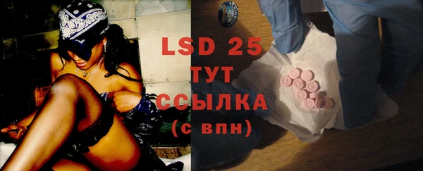 ГАЛЛЮЦИНОГЕННЫЕ ГРИБЫ Семёнов
