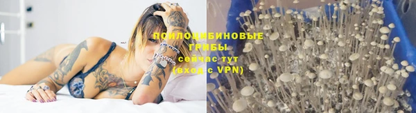 mdma Вяземский
