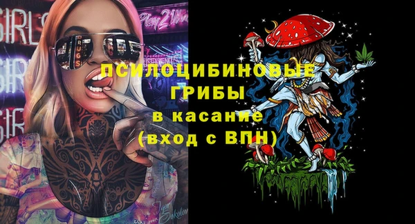 СК Гусь-Хрустальный
