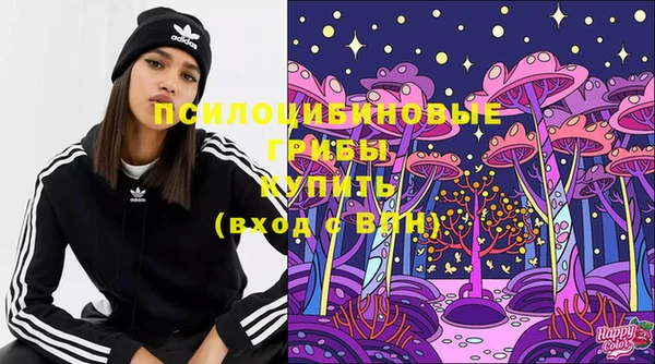 ГАЛЛЮЦИНОГЕННЫЕ ГРИБЫ Семёнов