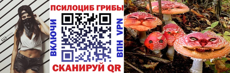Псилоцибиновые грибы ЛСД Духовщина